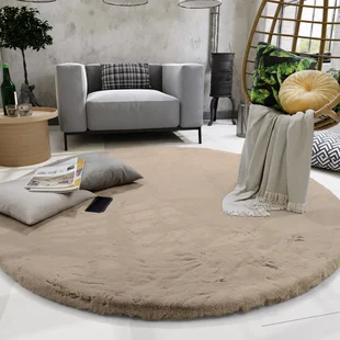 Ein runder Hochflor Teppich liegt im Wohnzimmer - Ein runder Hochflor Teppich liegt im Wohnzimmer